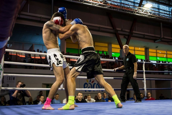 Fightland 12